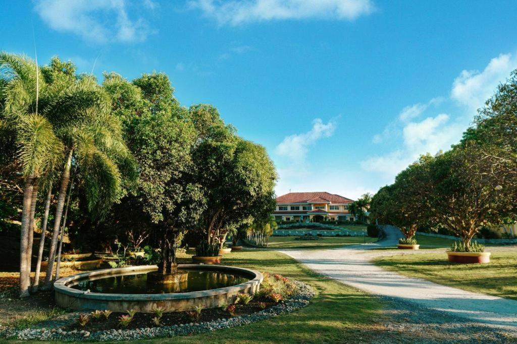 The Peacock Garden Hotel Panglao Exterior photo